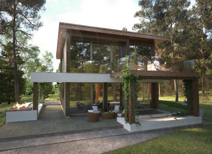 Forest soul — проект для удачных инвестиций