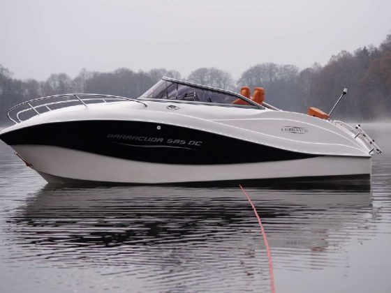 Barracuda Cruiser