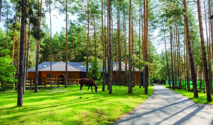 Имение в Хлепче на берегу Стугны