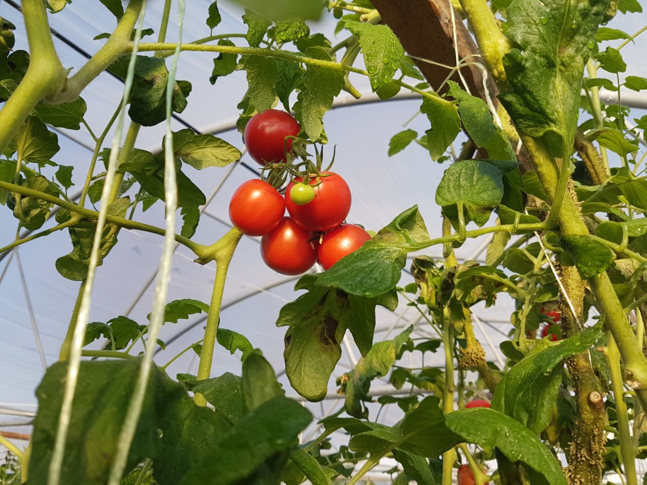 Здоровое питание круглый год