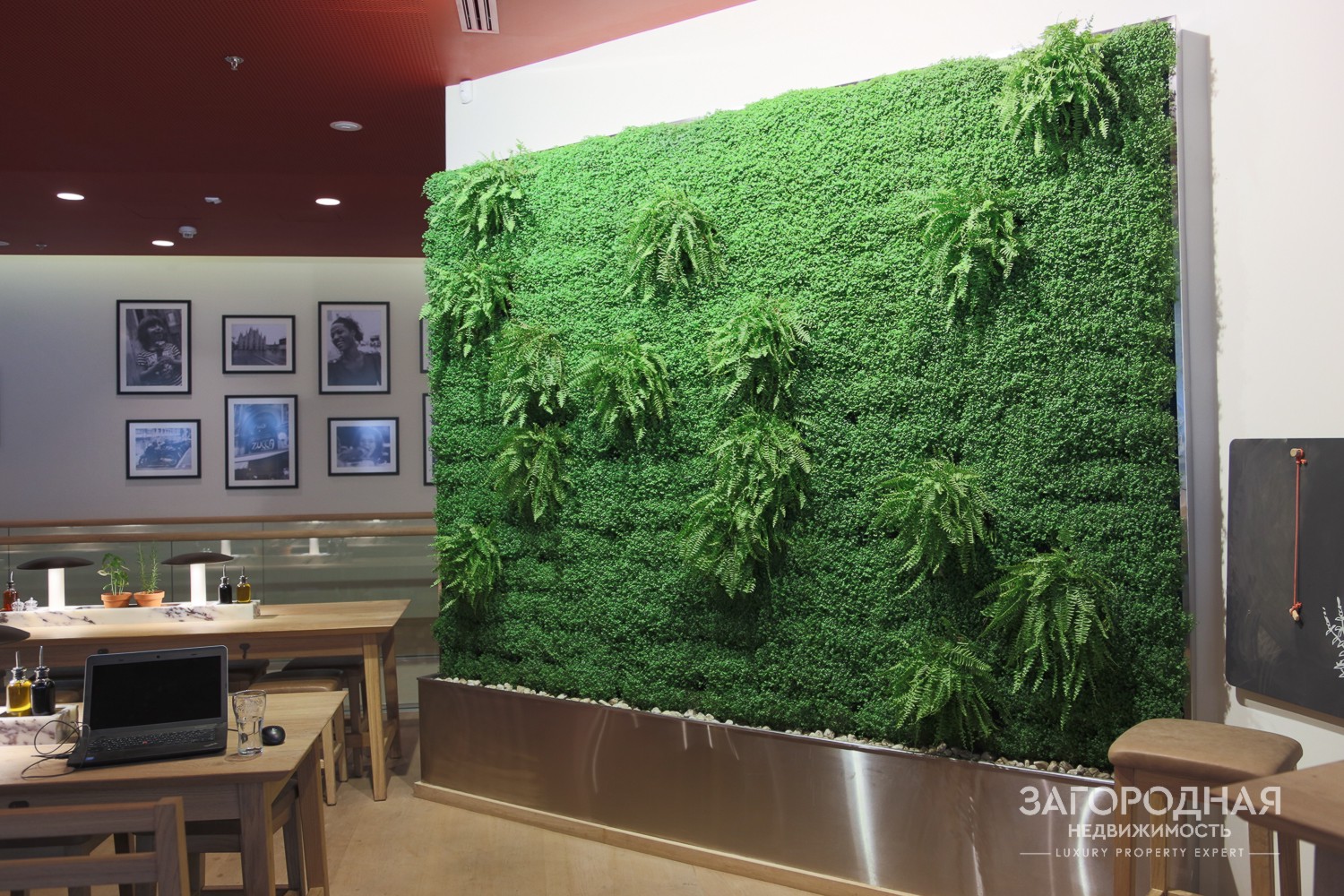 Философия зеленого дизайна LoraShen