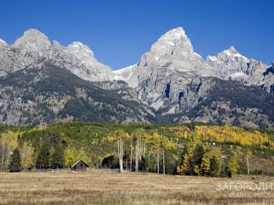 Траст в США: Создание траста в Вайоминге защищает активы
